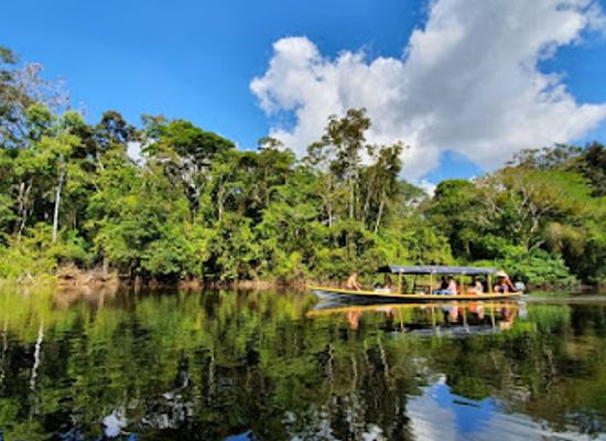 colombia/amazon/attraction/amazon-fronteras-jungle-tours
