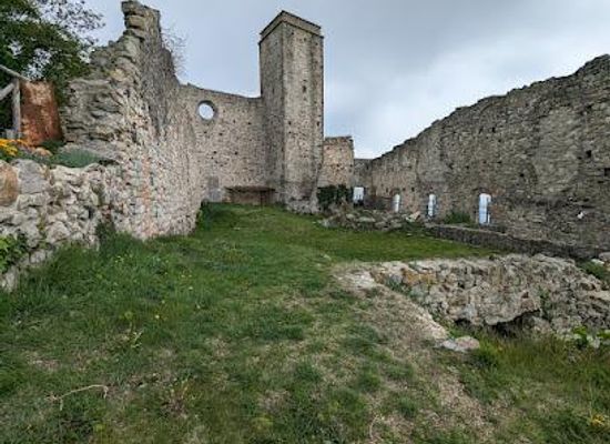 italy/veneto/attraction/monastero-degli-olivetani