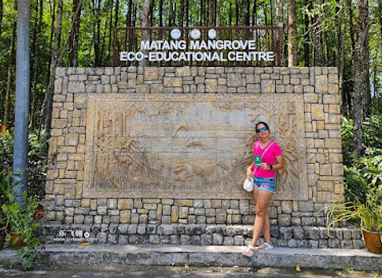malaysia/west-coast/attraction/matang-mangrove-forest-reserve-eco-park