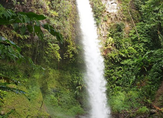 dominica/castle-bruce-beach/attraction/salton-waterfalls