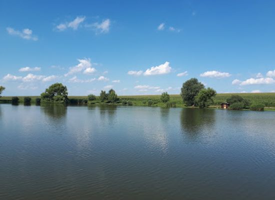 hungary/transdanubia/attraction/hidegvolgy-fishing-lake-and-wildlife-park