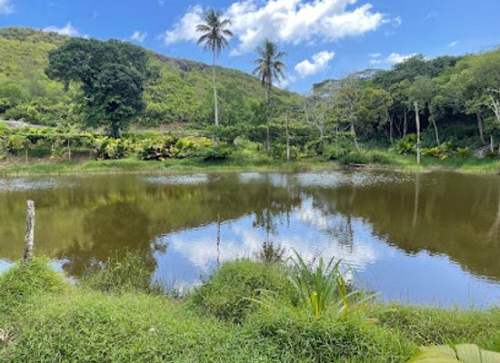 seychelles/baie-lazare/attraction/dan-sours-baie-lazare