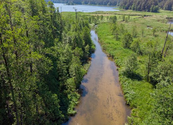 poland/masurian-lake-district/attraction/www-kajakiwarmia-pl