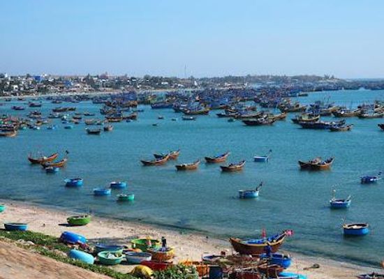vietnam/mui-ne/attraction/mui-ne-fishing-harbour
