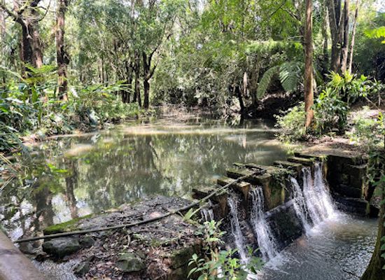 mauritius/chamarel-coloured-earth/attraction/sophie-nature-walk