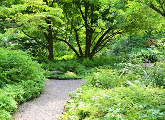 new-jersey/central-jersey/attraction/cross-estate-gardens