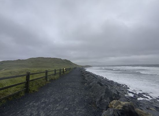 ireland/county-sligo/attraction/strandhill-dunes