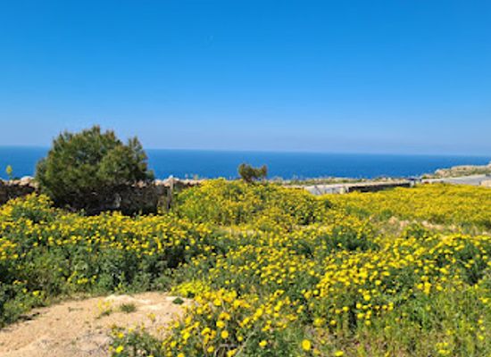 malta/buskett-gardens/attraction/ta-guzu