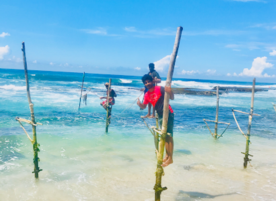 sri-lanka/hikkaduwa/attraction/angel-tours-hikkaduwa