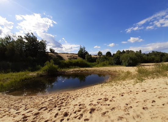 slovakia/zahorie/attraction/sranecke-piesky