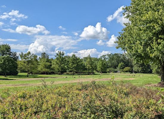 indiana/northeast-indiana/attraction/headwaters-park