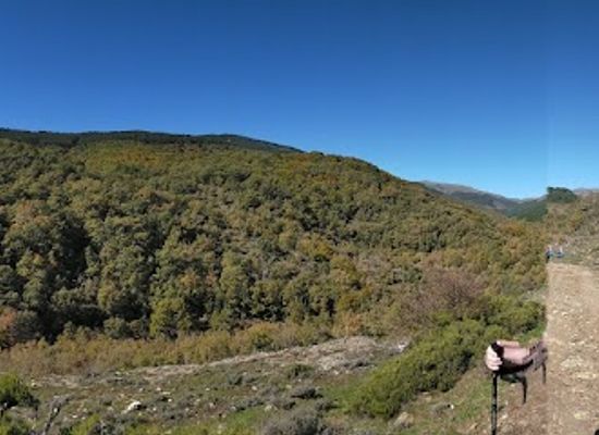 spain/teide-national-park/attraction/ingenieros-park