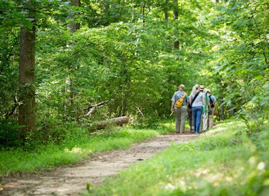 north-carolina/charlotte/attraction/carolina-thread-trail