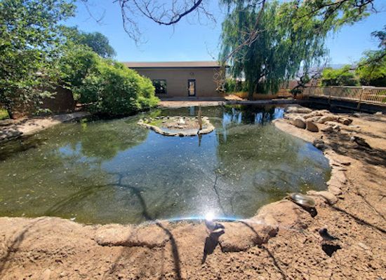 new-mexico/white-sands-national-park/attraction/alameda-park-zoo