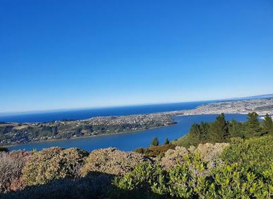 new-zealand/dunedin/attraction/signal-hill-lookout