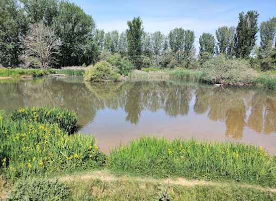 spain/lleida/attraction/mirador-de-fauna