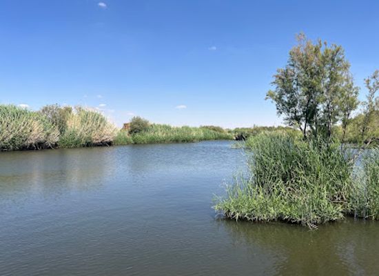 jordan/balqa-highlands/attraction/azraq-wetlands-reserve