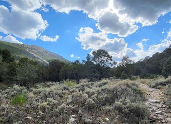 nevada/great-basin-national-park/attraction/lehman-creek-trail