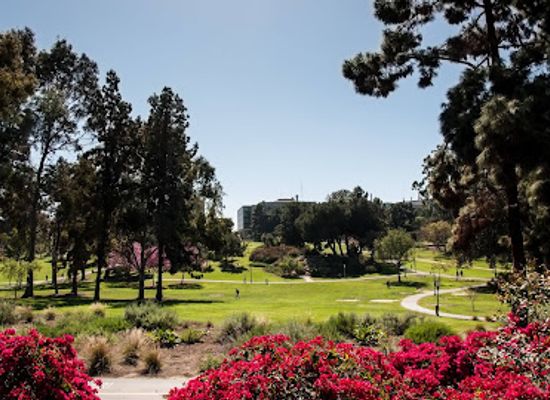 california/irvine/attraction/aldrich-park