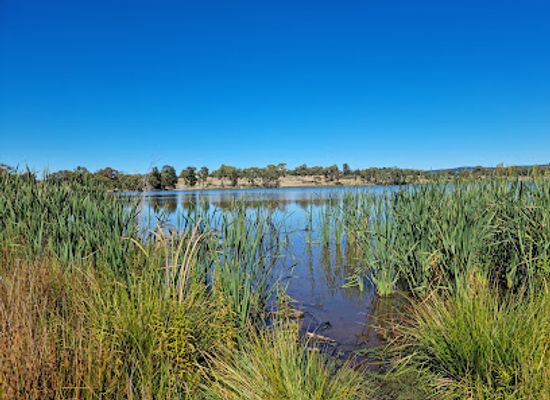 australia/western-new-south-wales/attraction/gosling-creek-reserve