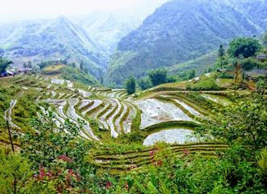 vietnam/sapa/attraction/cat-cat-tourism-village