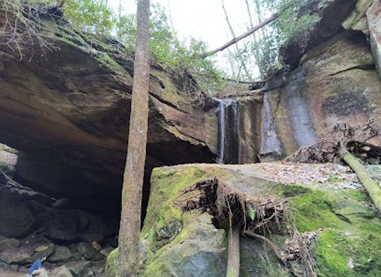 kentucky/red-river-gorge-geological-area/attraction/whittleton-arch