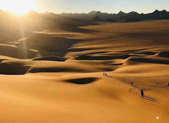 niger/tenere-desert/attraction/desert-du-tenere