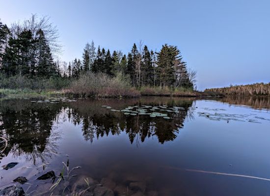 canada/maritimes/attraction/irishtown-nature-park-unesco-fundy-biosphere-reserve-amazing-place