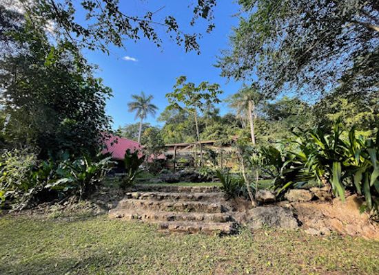 belize/vaca-plateau/attraction/green-hills-butterfly-ranch