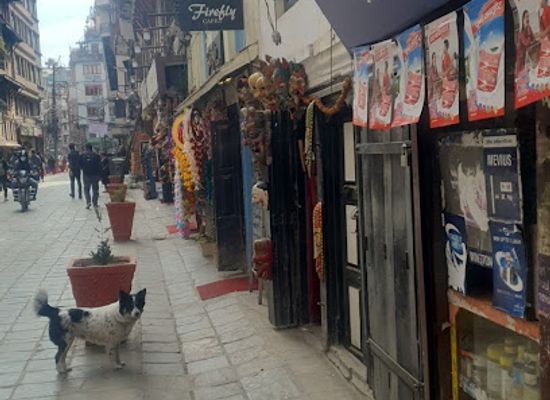 nepal/kathmandu-valley/attraction/freak-street-jhochhen