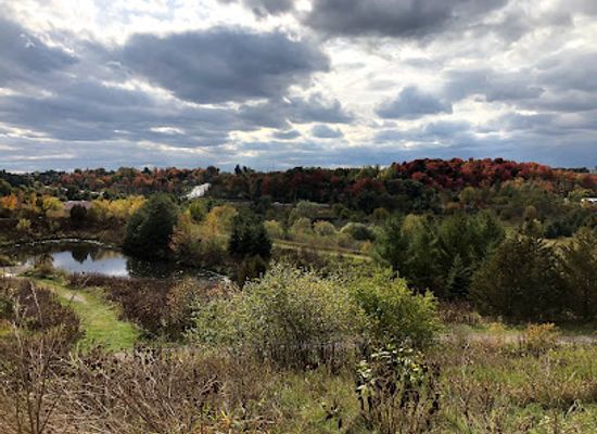 canada/golden-horseshoe/attraction/elder-s-mills-nature-reserve