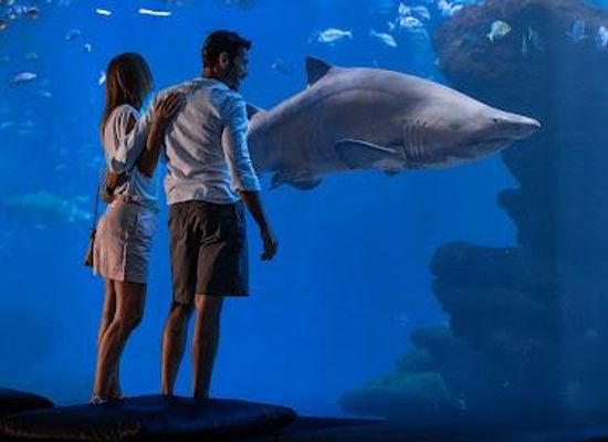 spain/palma-de-mallorca/attraction/palma-aquarium