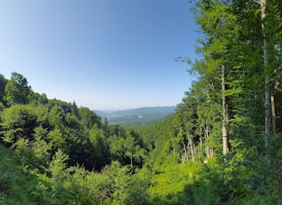 slovakia/poloniny-national-park/attraction/temny-vrsok