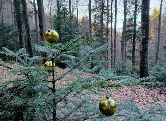 croatia/medvednica-mountain/attraction/park-prirode-medvednica-zagrebacka-ulica
