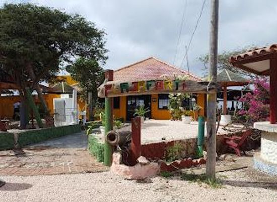 curacao/westpunt/attraction/playa-forti