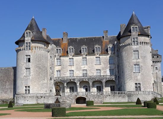 france/poitou-charentes/attraction/chateau-de-la-roche-courbon