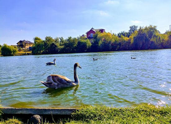 ukraine/vinnytsia/attraction/park-of-friendship-of-peoples