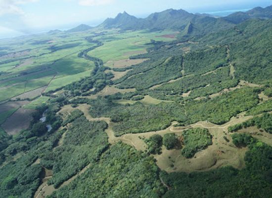 mauritius/flacq/attraction/domaine-de-l-etoile