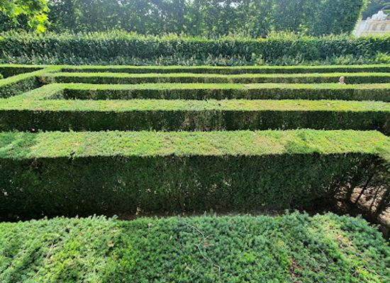 austria/lower-austria/attraction/maze