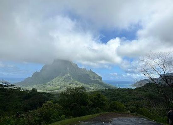 french-polynesia/moorea/attraction/torea-nui-transports-activites-moorea