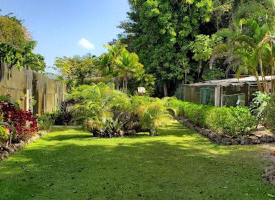 barbados/east-coast/attraction/tropical-garden-barbados