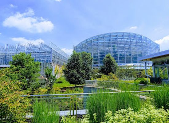 pennsylvania/pittsburgh/south-side/attraction/phipps-conservatory-and-botanical-gardens