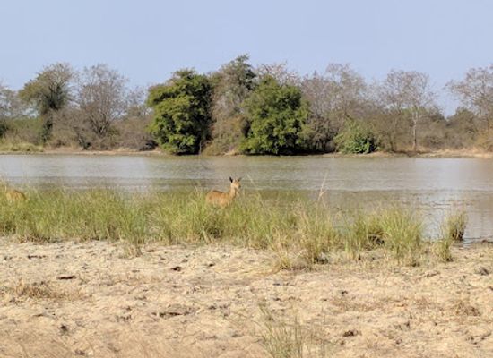 niger/w-national-park/attraction/pendjari-national-park