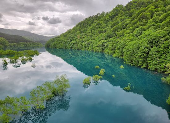 japan/aki/attraction/roadside-station-akitako