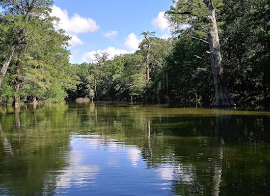 arkansas/delta/attraction/white-river-national-wildlife-refuge