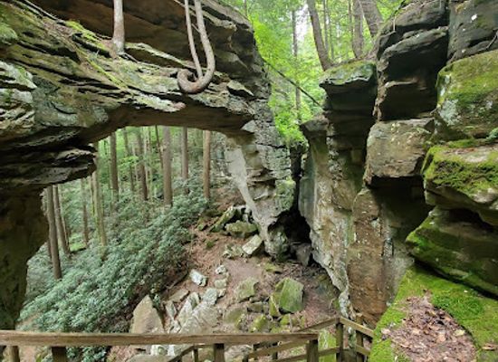 kentucky/big-south-fork-national-river-and-recreation-area/attraction/split-bow-arch