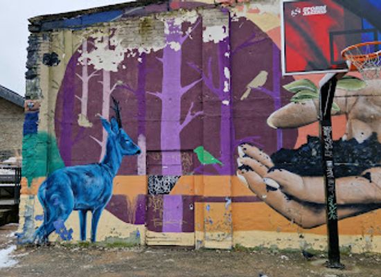 estonia/tallinn/kalamaja/attraction/street-art-axolot-ja-sinine-hirv