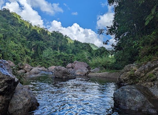 fiji/rakiraki/attraction/domoika-adventures
