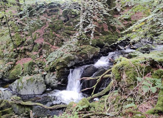 united-kingdom/snowdonia-national-park/attraction/torrent-walk-llwybr-clywedog