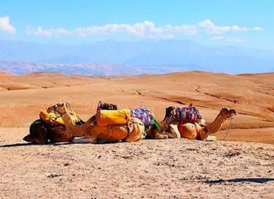 morocco/marrakech/attraction/agafay-desert-desert-d-agafay